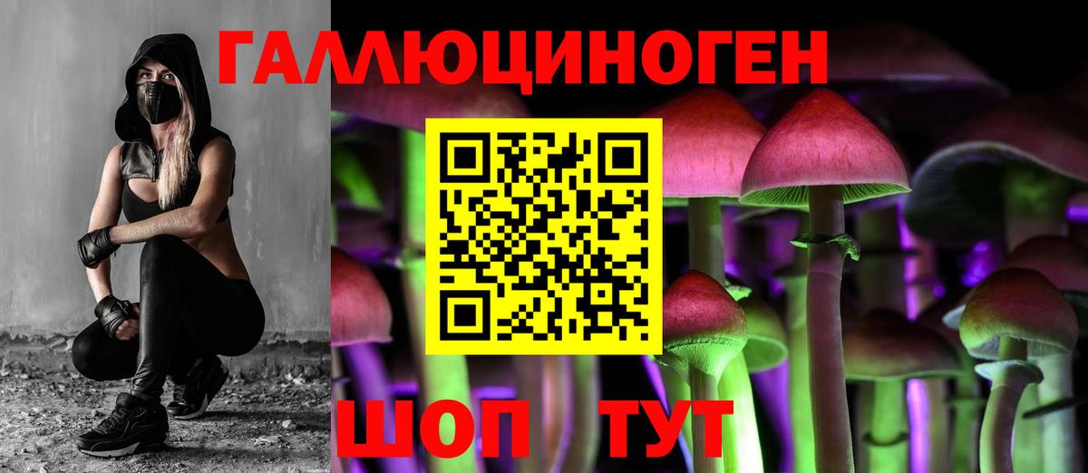 Галлюциногенные грибы MAGIC MUSHROOMS  Псилоцибиновые грибы GOLDEN TEACHER  Вход с VPN  Киров 